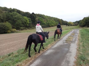 die Route bestach durch landschaftliche Reize und die Pferdchen waren gut drauf...